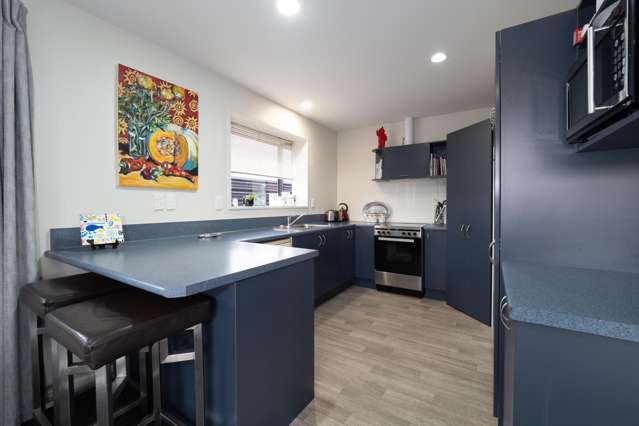 13B Wilkin Street Tinwald_1