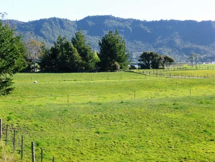 139 Taylorville Road Coal Creek_16