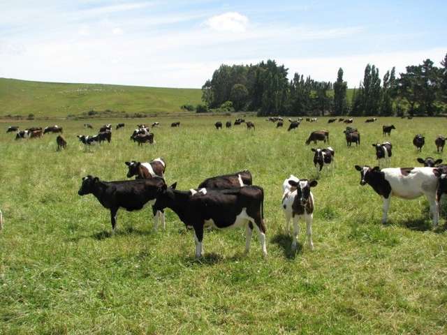 1259 Lakeside Road Milton_4