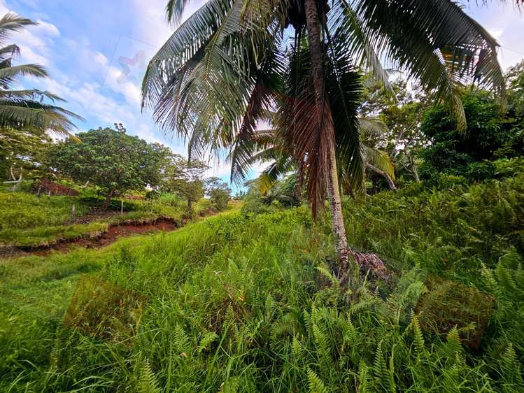 Address withheld Savusavu_18