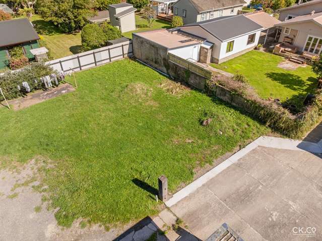 15B Black Beech Birchville_1