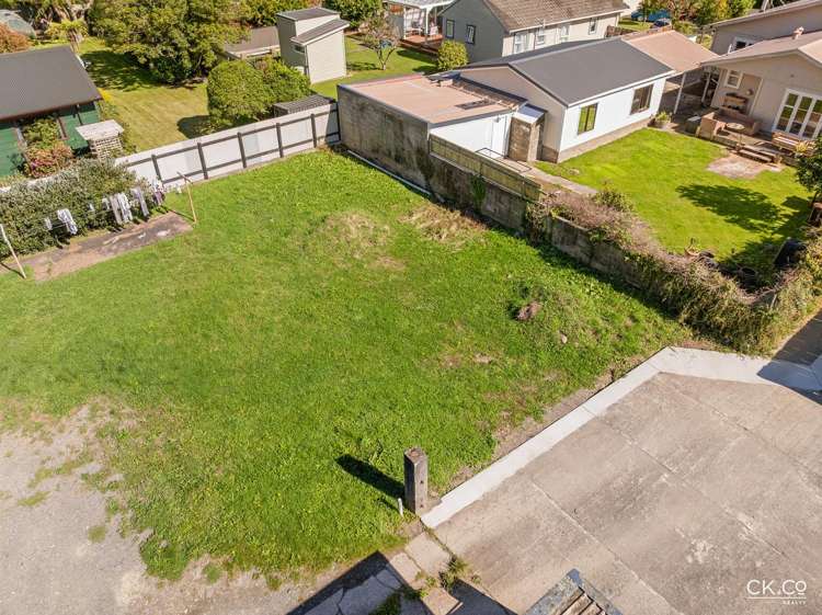 15B Black Beech Birchville_1