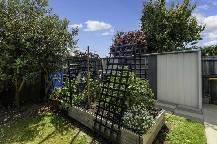 5 Rainey Crescent Papamoa_20