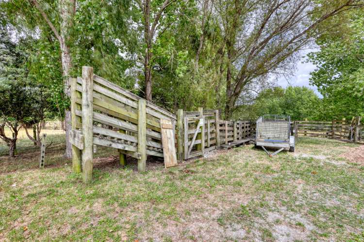 75 Homestead Lane Kaiwaka_5