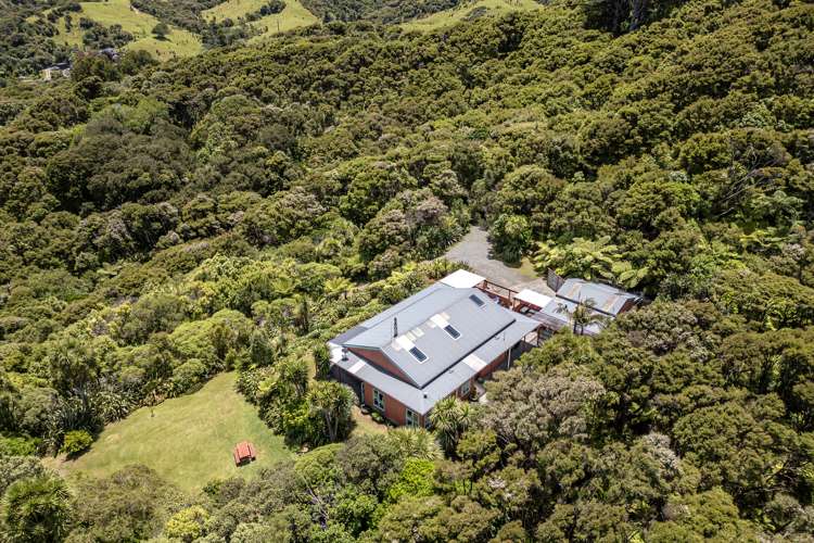 206 Colville Road Coromandel_11