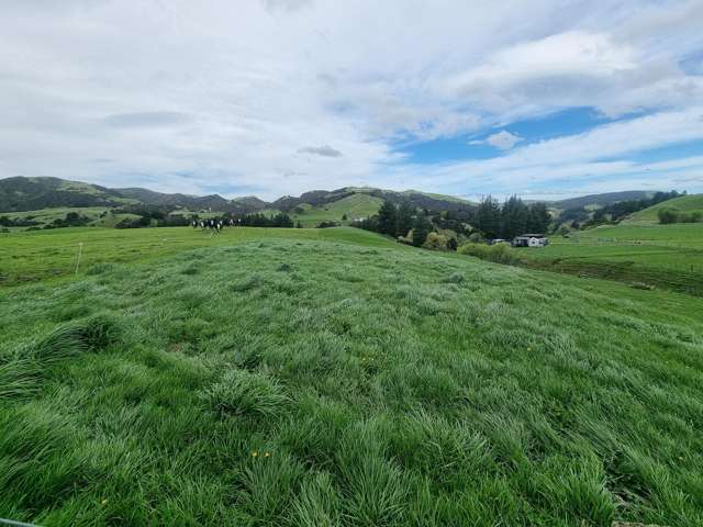 3345A Weber Road Dannevirke_1