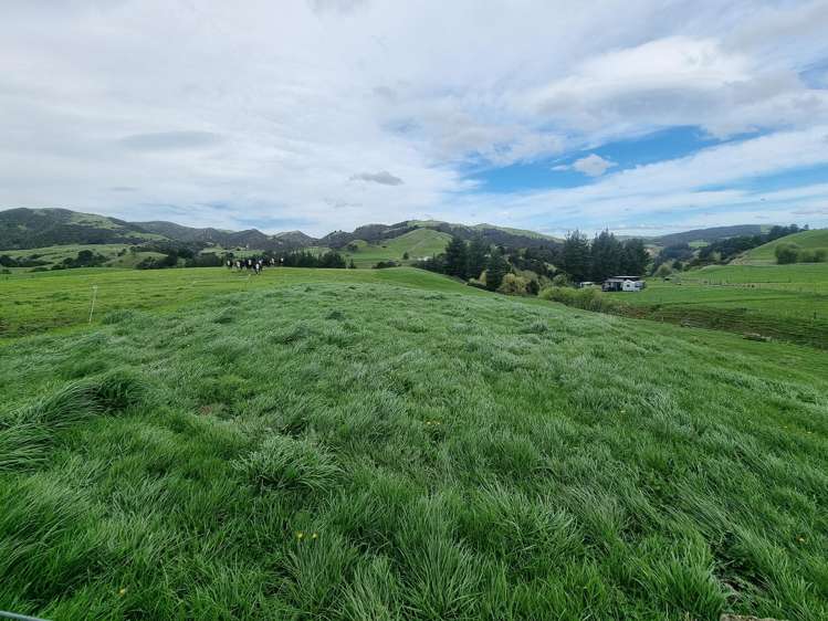 3345A Weber Road Dannevirke_1
