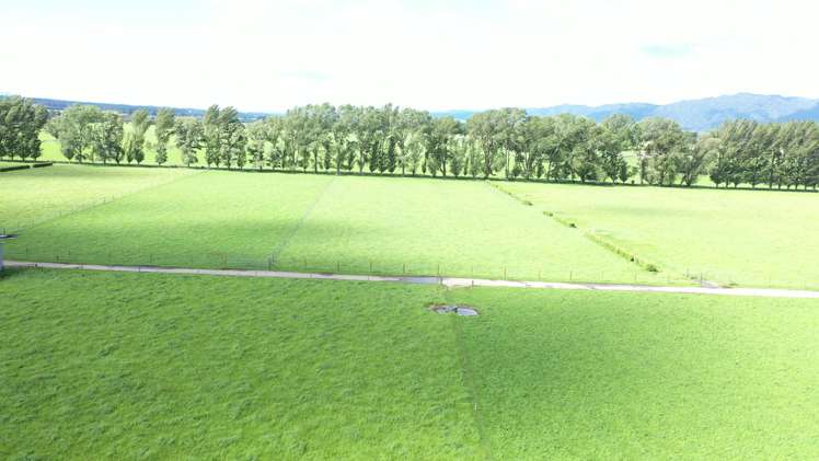 4980 Galatea Road Murupara Surrounds_9