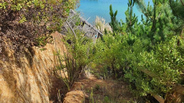 165 Bon Accord Harbour Kawau Island_12