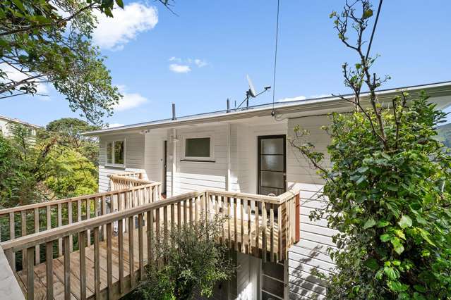 Sunny 70s Gem - Views, Privacy & Potential