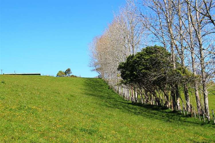 1821 Hunua Road Hunua_14