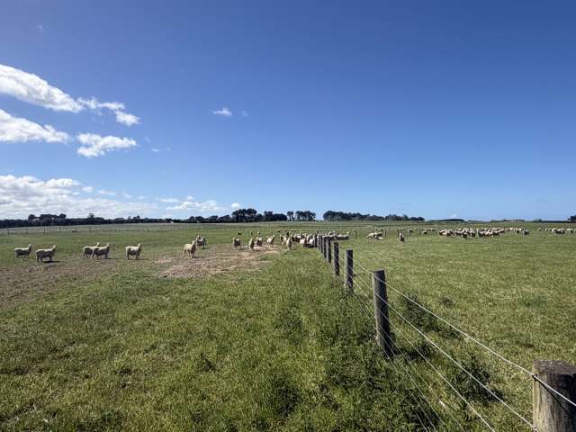 166 Brand Road Kennington_3