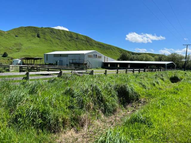 374 Otawhao Road Kumeroa_2