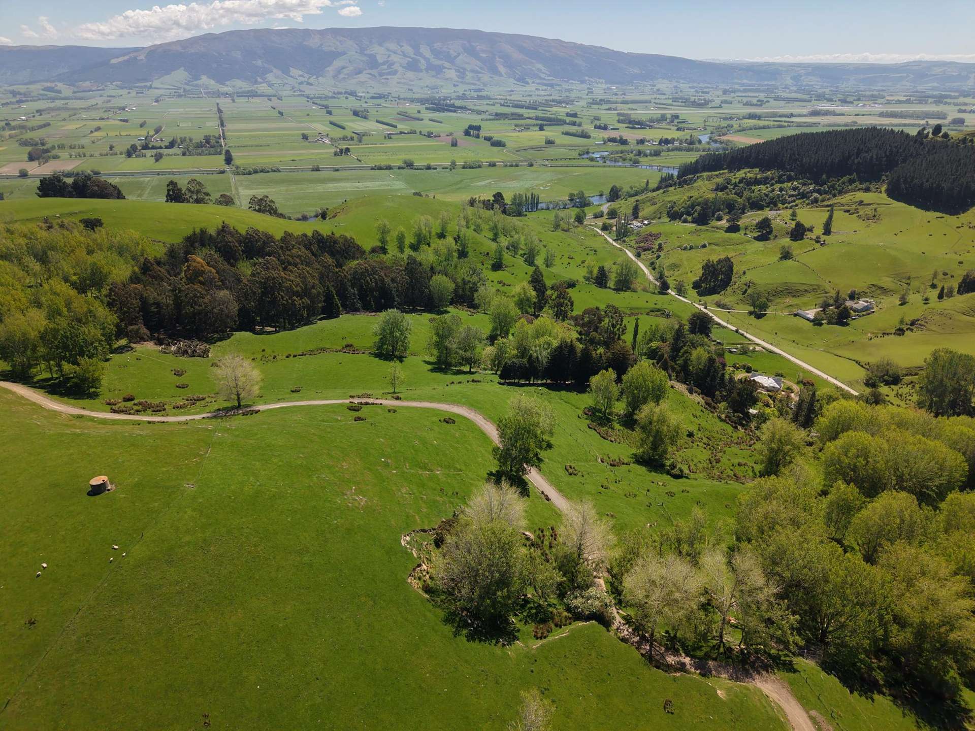 Otokia-Kuri Bush Road West Henley_0