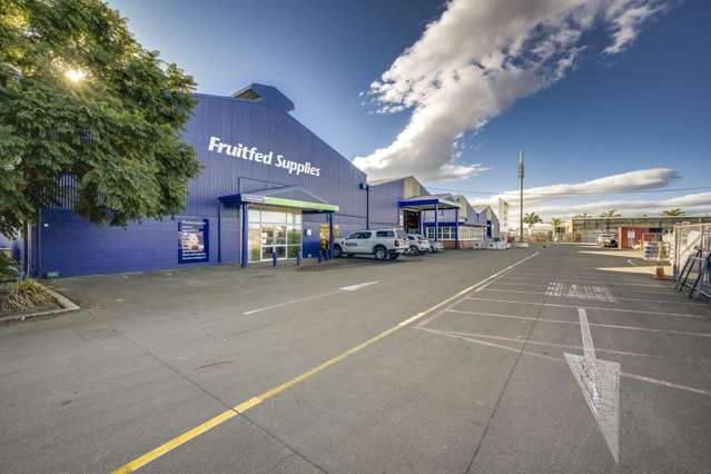 135 Maraekakaho Road Hastings Central_3