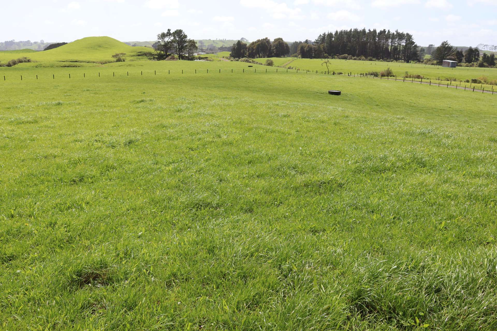 828 Hursthouse Road Inglewood_0