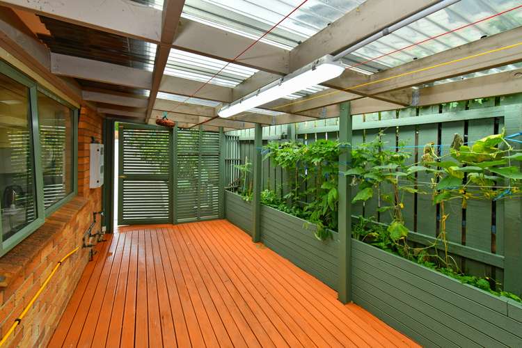 44 Crossandra Drive Mangere_11