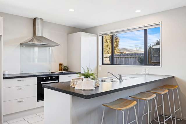 93 Edinburgh Street Spreydon_2