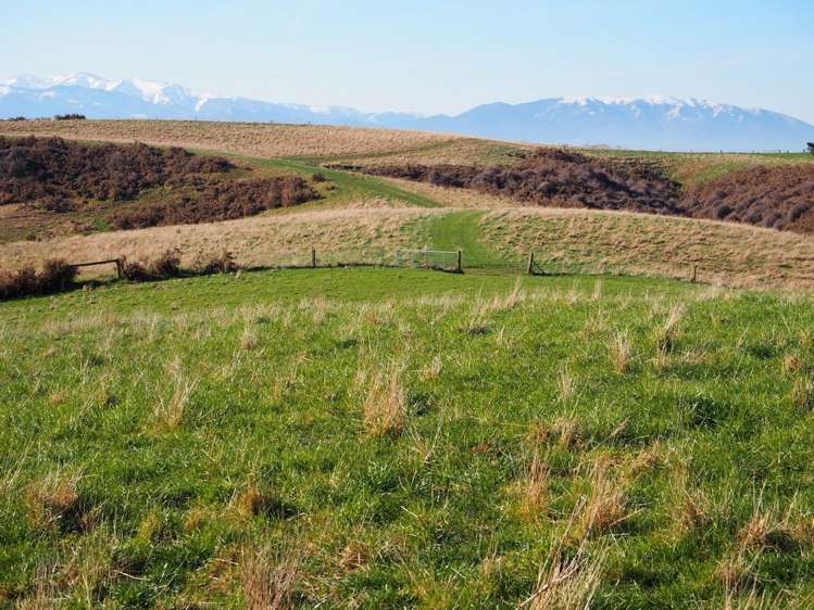 Bluff Road Sheffield_3