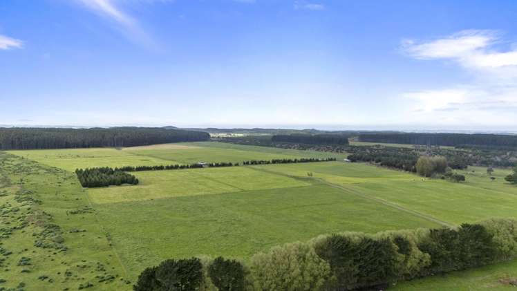 Santoft Road Bulls_2