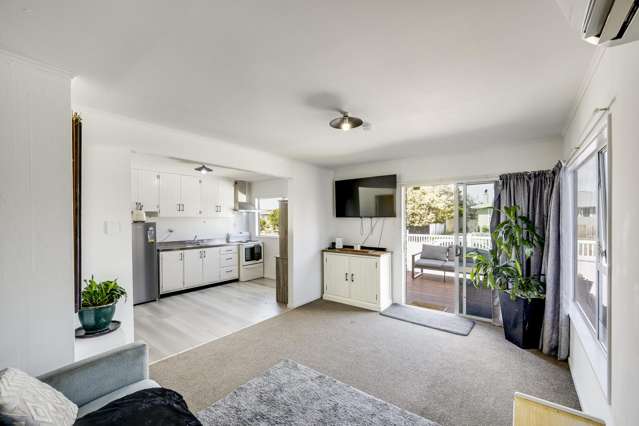 16 Guildford Street Tamatea_1