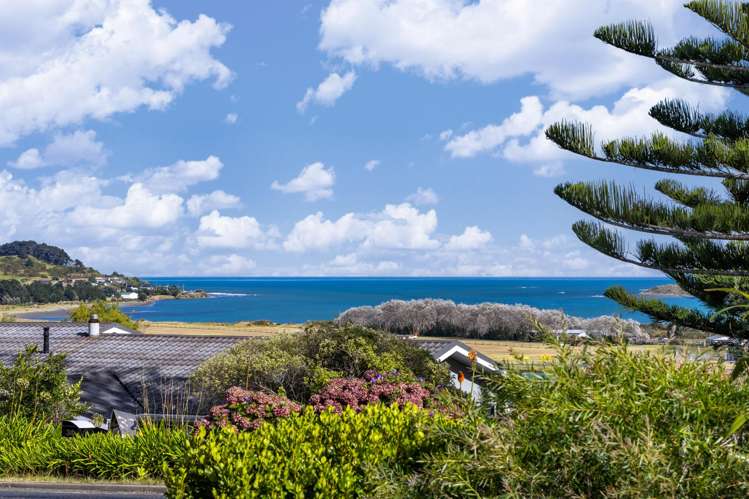 31 Norrie Avenue Raglan_31