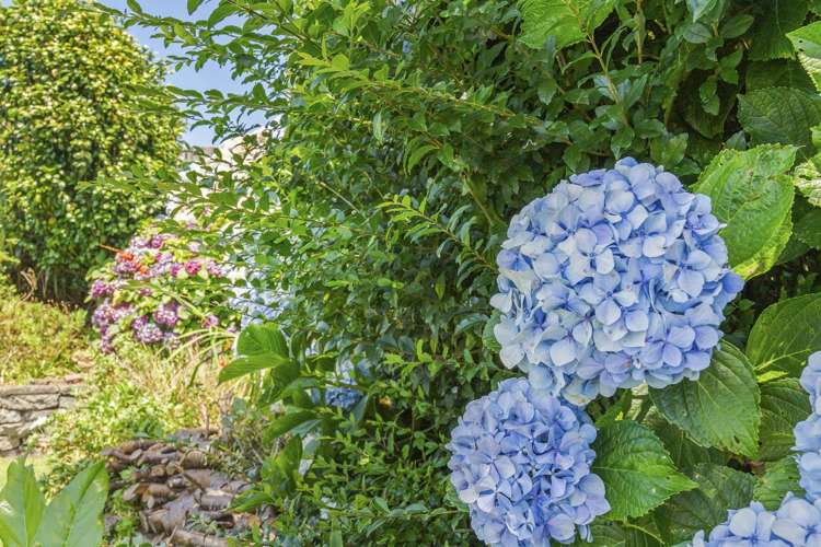 32a Silvan Place Bell Block_16