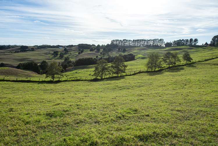 Parahi Road Ruawai_18