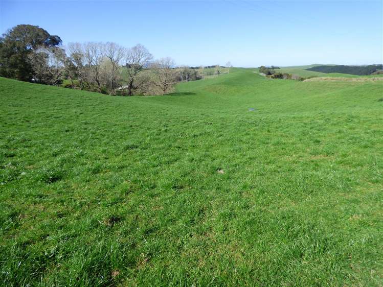 546 Ngutunui Road Otorohanga_19