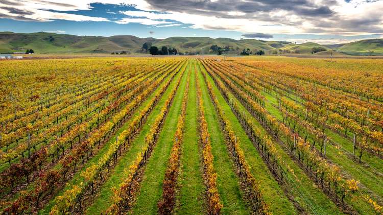 State Highway 50 Roys Hill_11