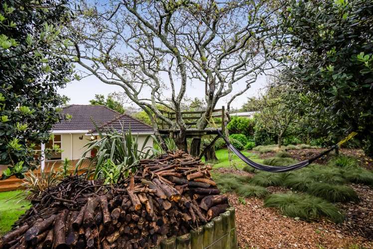 54 Waimea Street Westown_20