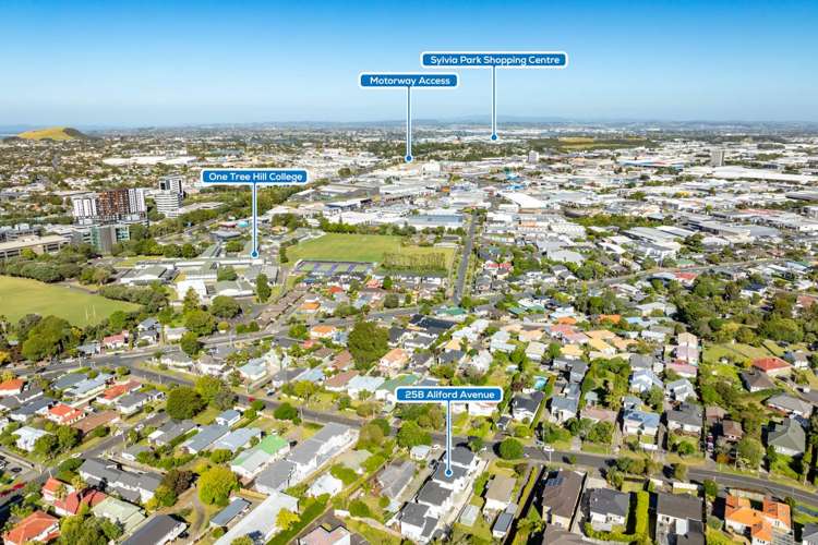 25b Aliford Avenue One Tree Hill_3