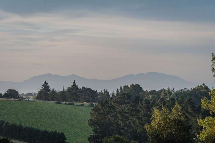 146 Beaconsfield Road Fairview_22