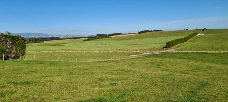 357 Middle Road Gore Surrounds_11