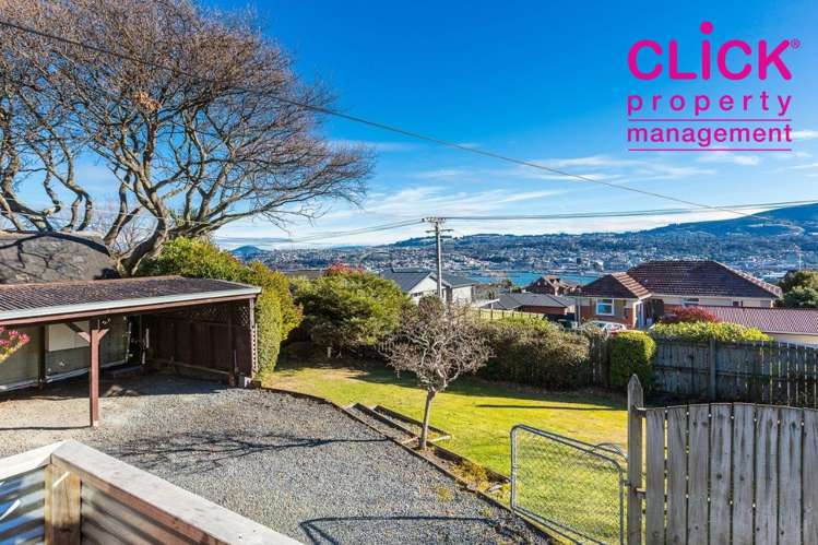 186 Scott Street Waverley_13