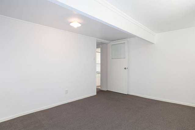 28B Bond Street Grey Lynn_2
