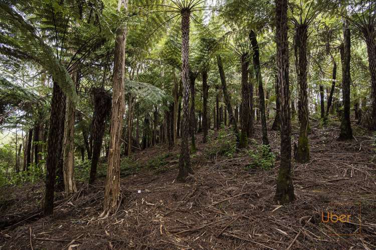 74 Waiparera Road Parua Bay_16