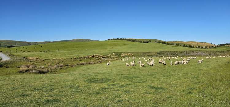 623 Slopedown Road Catlins Surrounds_23