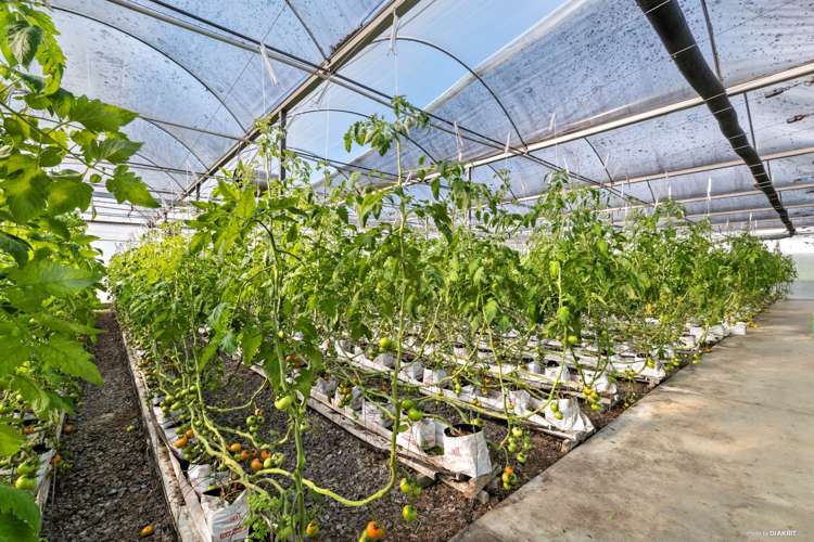 80 Orere-Matingarahi Road Orere Point_16