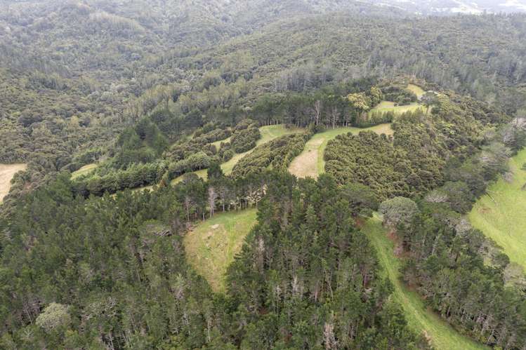 61 Spikes Way Whitianga_33