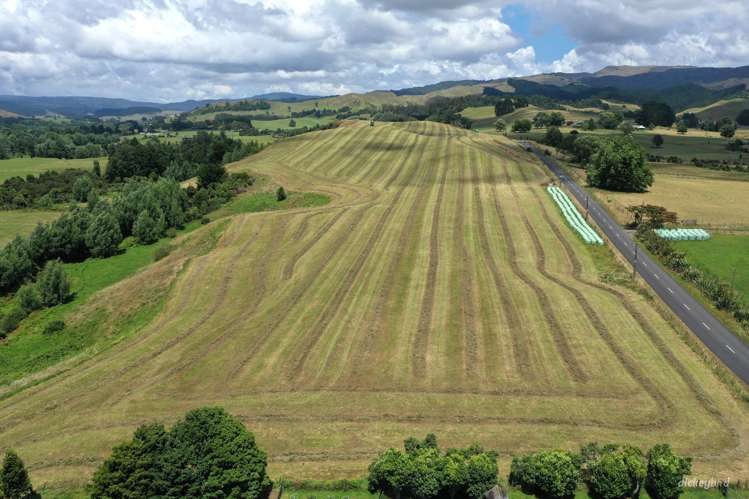 211 Waitetuna Valley Road Raglan_1
