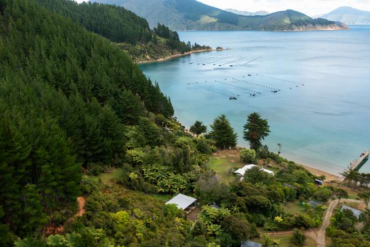 Lot 2 Grant Bay, Manaroa Marlborough Sounds_14