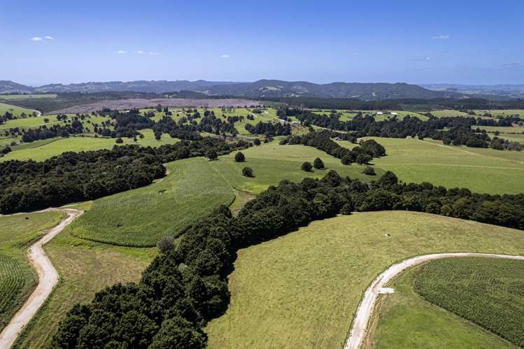 731 Puhipuhi Road Whakapara_38