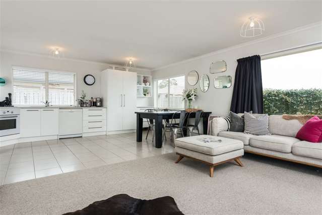 36 Stephens Place Hairini_2