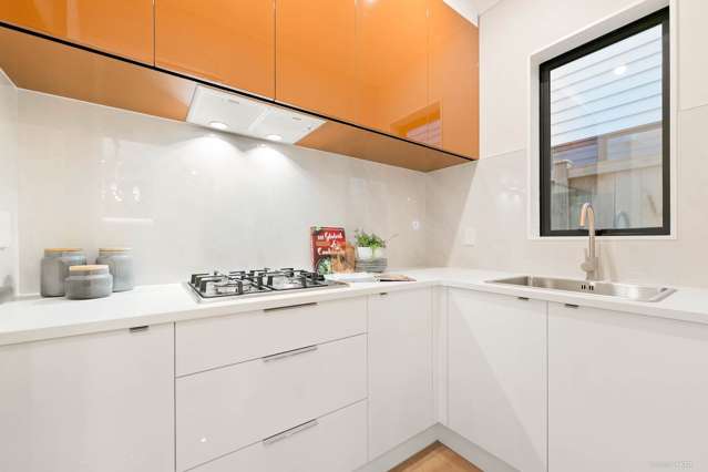 223c Murphys Road Flat Bush_4