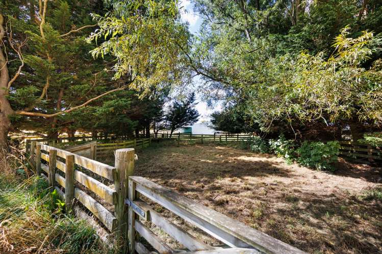 571 Kairanga Bunnythorpe Road Milson_11