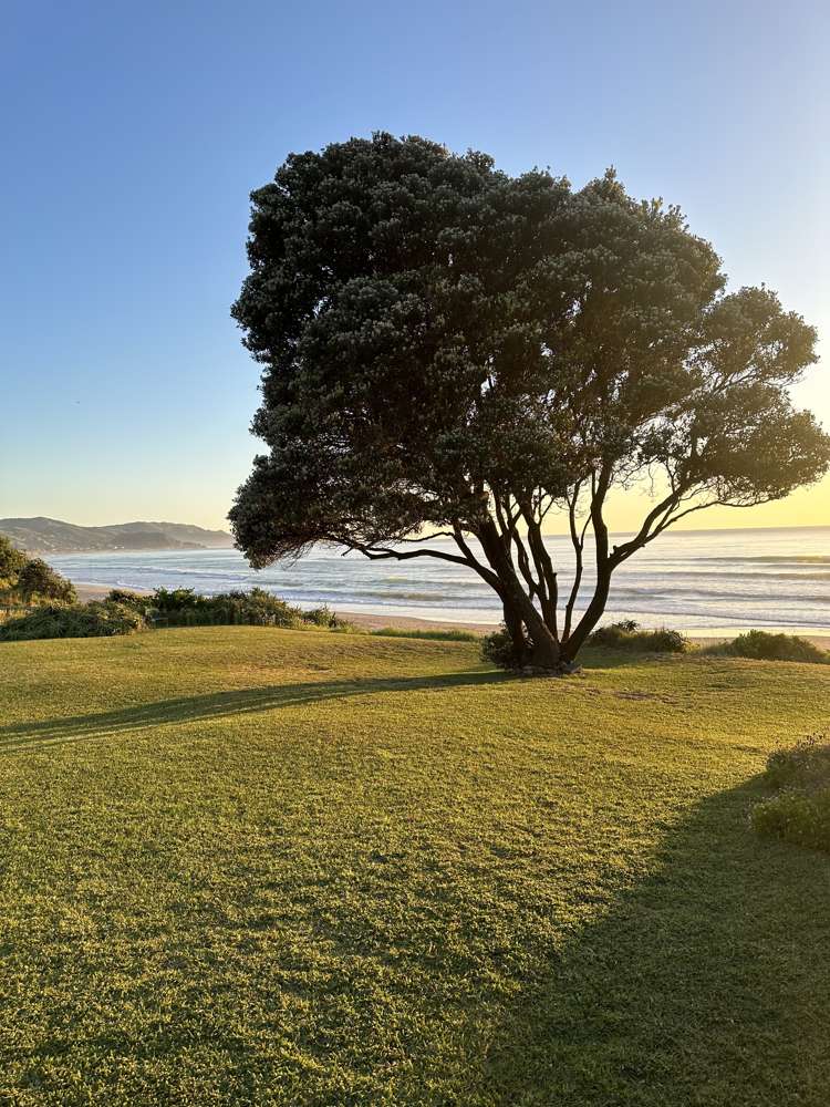 27 Wairere Road Wainui_21