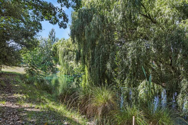 36 Hillocks Road Spring Creek_22