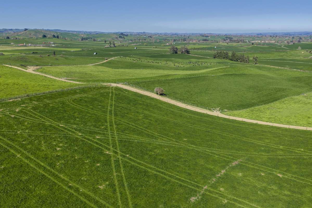 1356 Otorohanga Road, State Highway 3_3