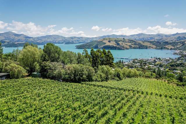 35 Lighthouse Road Akaroa_2